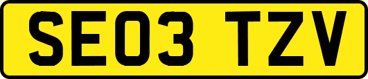 SE03TZV