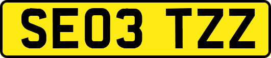 SE03TZZ