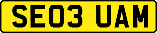 SE03UAM