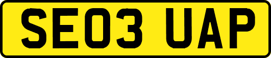 SE03UAP