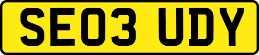 SE03UDY