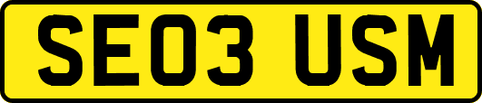 SE03USM
