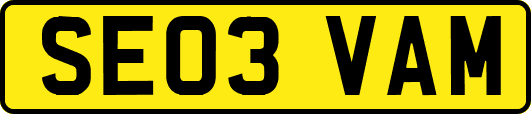SE03VAM