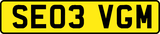 SE03VGM