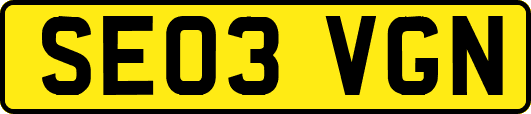 SE03VGN