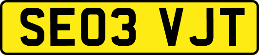 SE03VJT