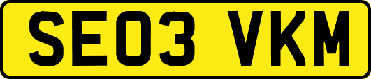 SE03VKM