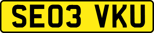 SE03VKU