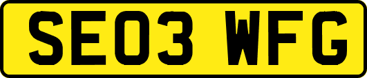 SE03WFG