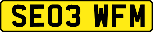 SE03WFM