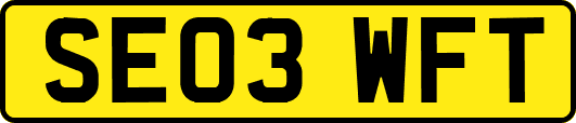 SE03WFT