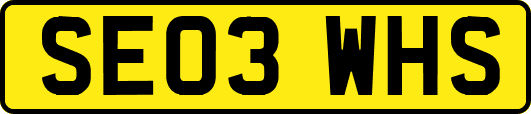 SE03WHS