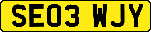 SE03WJY