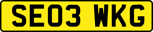 SE03WKG