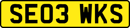 SE03WKS