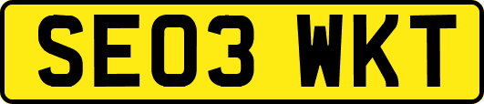 SE03WKT
