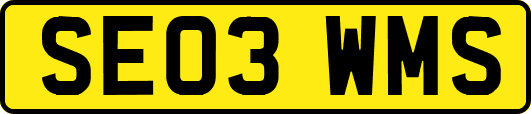 SE03WMS
