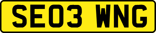 SE03WNG