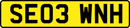 SE03WNH