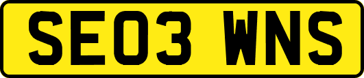 SE03WNS