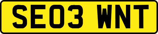 SE03WNT