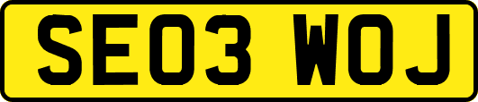 SE03WOJ