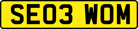 SE03WOM