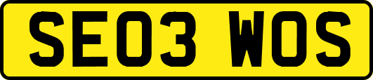 SE03WOS