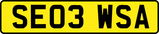 SE03WSA