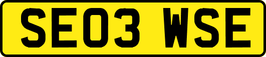 SE03WSE