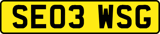 SE03WSG