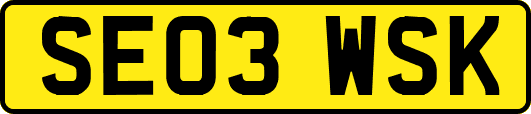 SE03WSK