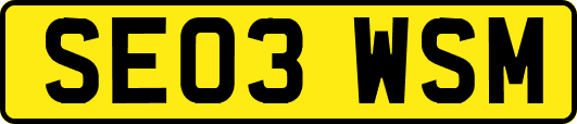 SE03WSM