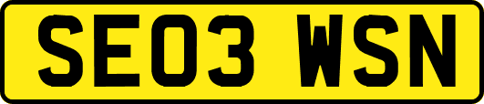 SE03WSN