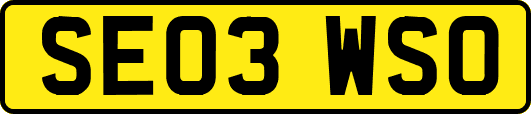 SE03WSO