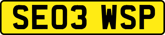 SE03WSP