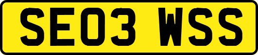 SE03WSS