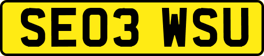 SE03WSU