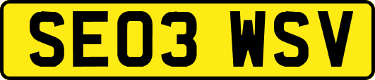 SE03WSV