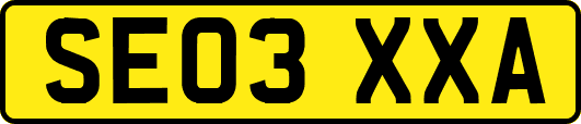 SE03XXA