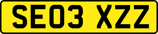 SE03XZZ