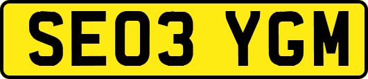 SE03YGM