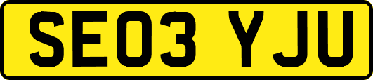 SE03YJU