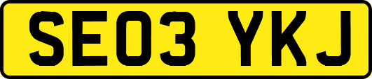 SE03YKJ