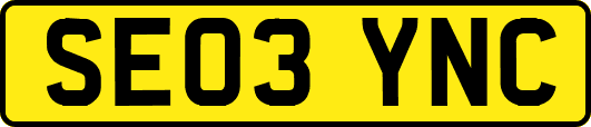 SE03YNC