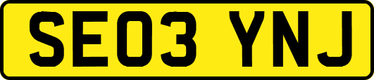 SE03YNJ
