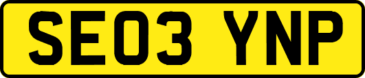 SE03YNP