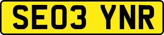 SE03YNR