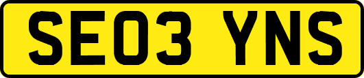 SE03YNS