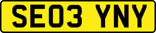 SE03YNY